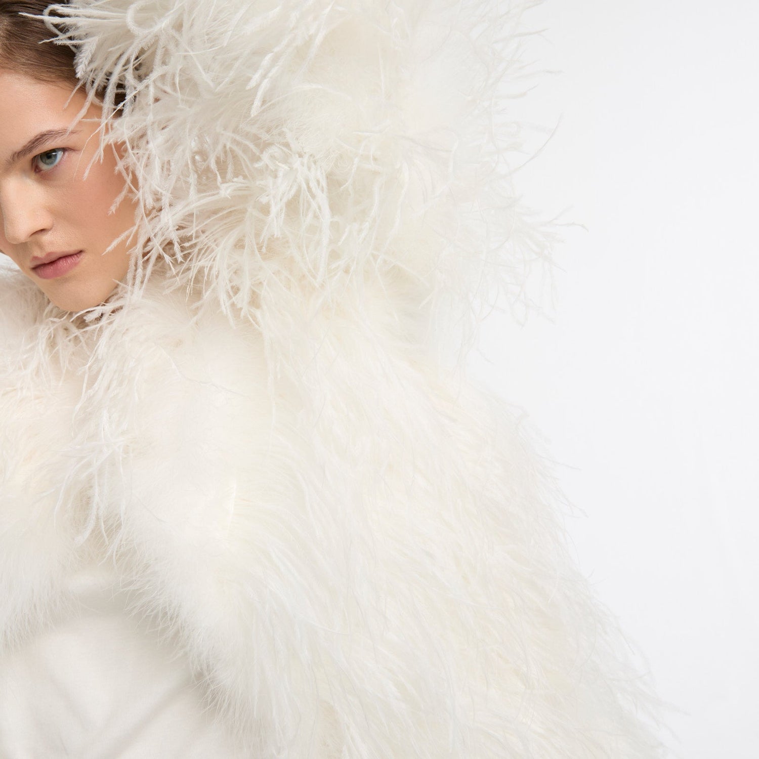 Ostrich feathers - Yves Salomon