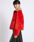 Short jacket in shearling merino lambskin